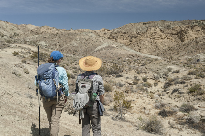 Graduate students Tara Smiley (left) and Katie Loughney (right) contemplating the landscape they are about to start measuring in Barstow. © 2015 Kelsey Vance