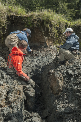 Preparing a trench for sampling during low tide.  © 2015 Kelsey Vance