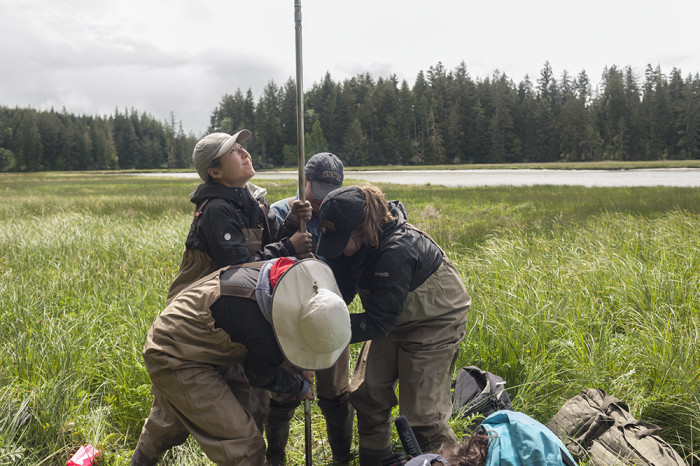 Taking a core sample is a collaborative effort involving several people and good communication.  © 2015 Kelsey Vance