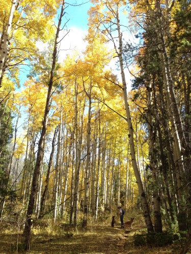 Kelli Trujillo with her dogs Wendell and Ella lead the way at Happy Jack Canyon. ©Lexi Jamieson Marsh